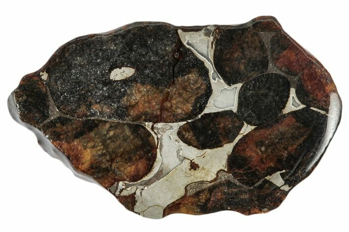 Sericho Pallasite Meteorite ( g) Slice - Kenya #346440